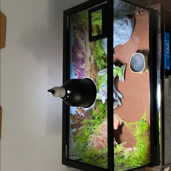 Reptile (leopard Gecko) Tank - Picture 3 of 6